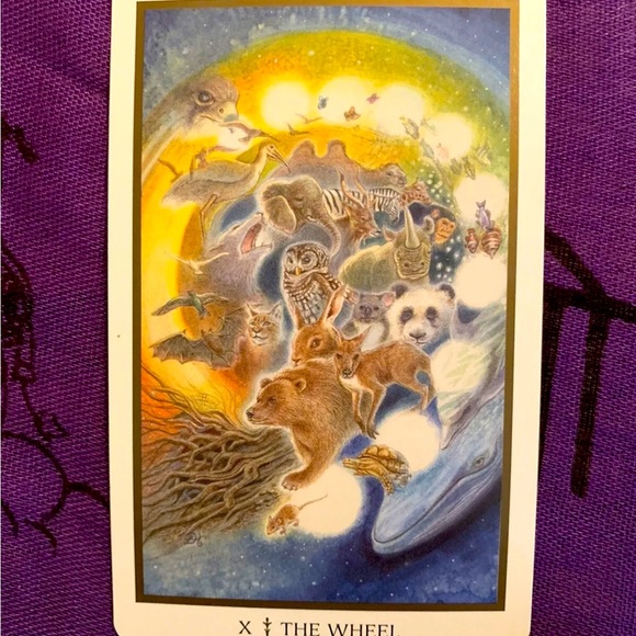 SOLD! Animals Divine Tarot Set Lisa Hunt RARE OOP 1st Edition 2nd Printing 2005 - Picture 5 of 8